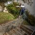 Ratas Sympathy Devin Szydlowski 110 Signature