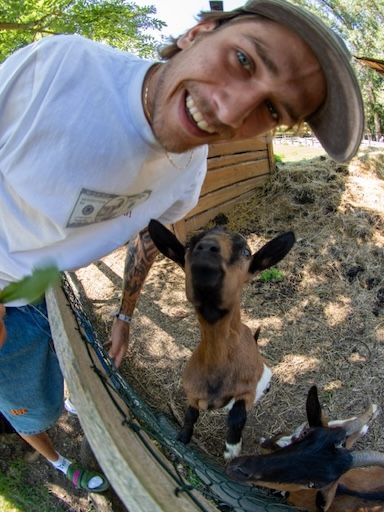 T-särk RICH Dollar Goat