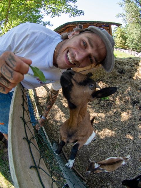 T-särk RICH Dollar Goat