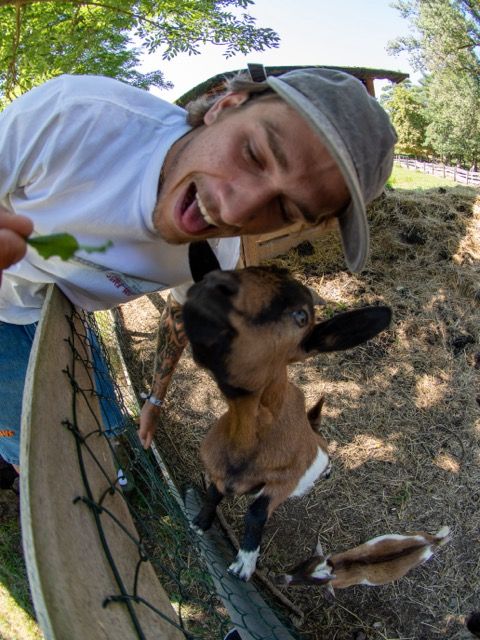 T-särk RICH Dollar Goat