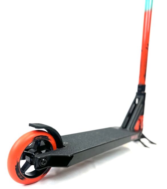 Triad Champ "M" Orange/Blue